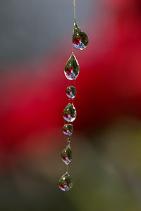 tilt-shift lens photo of water droplets thumbnail