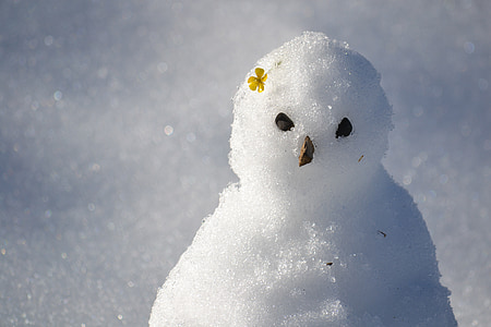 shallow focus photography of snowman thumbnail