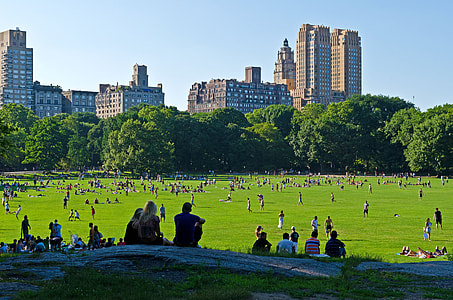 people on field during daytime thumbnail