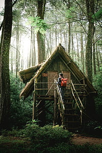 person on brown wooden stair going up on tree house during daytime thumbnail