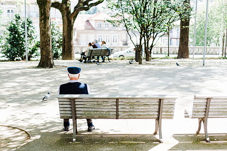 person sitting on bench near tree thumbnail