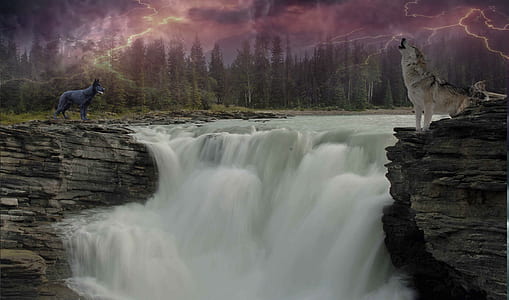 photo of two black and white wolves near falls thumbnail