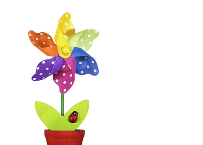 assorted-color paper flower decor thumbnail