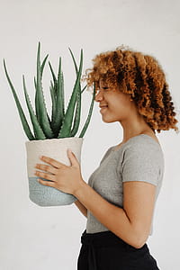 Woman Holding Potted Aloe Vera Plant thumbnail