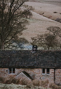 brown and gray house surrounded with trees thumbnail