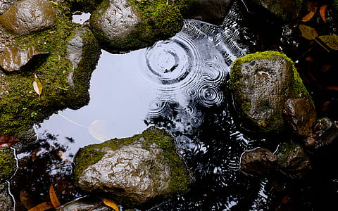 body of water with stones thumbnail