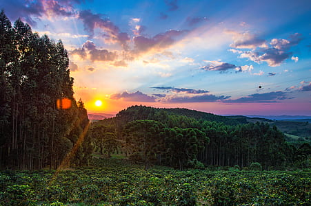 light, dawn, landscape, nature thumbnail