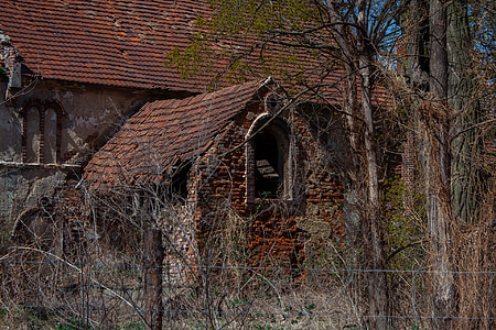 brown concrete house near forest during daytime thumbnail