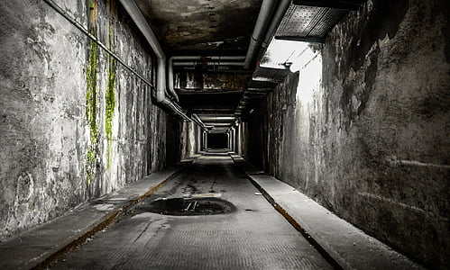 white fluorescent light on tunnel thumbnail