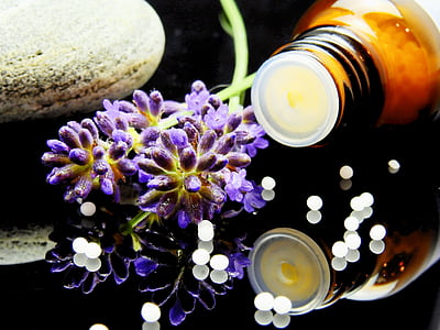 purple and yellow flowers with bottle and gray rock thumbnail