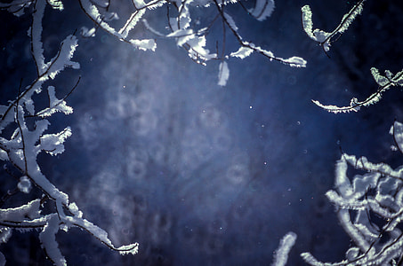 white and blue illustration thumbnail