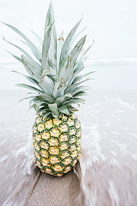 photo of pineapple fruit on seashore thumbnail