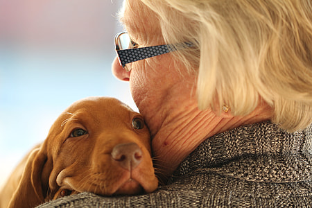 woman holding tan Vizsla puppy close up photo thumbnail