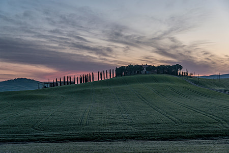 lawn green grass field with silhouette of poles at distance under gray sky during sunrise thumbnail