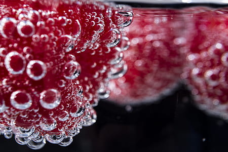 Macro Photography of Pink Berries Water thumbnail