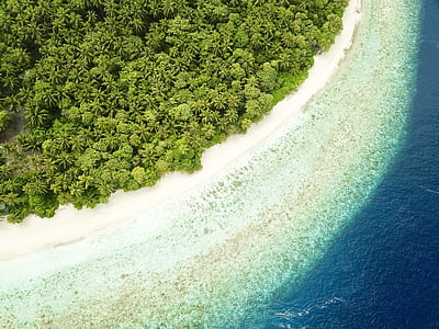 aerial photography of seashore during daytime thumbnail