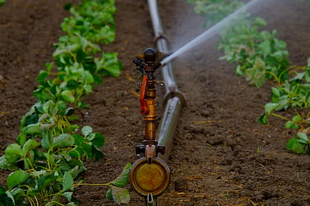 brown steel water sprinker on plants thumbnail