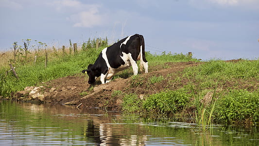 landscape, nature, sky, water thumbnail