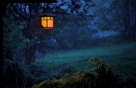 black lantern post surrounded by green leaf trees thumbnail