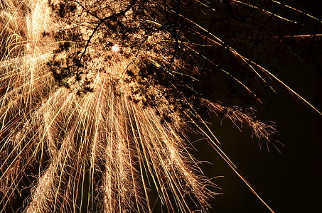 silhouette of tree branch under fireworks at nighttime thumbnail