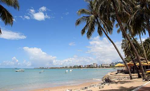 beach resorts at daytime thumbnail