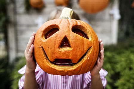 Person Holding Pumpkin thumbnail