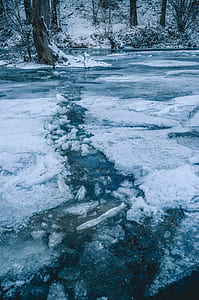 lake on solid ice with bare trees thumbnail