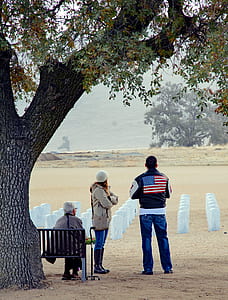 three people near green leaf tree thumbnail
