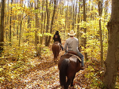 two people on brown horses beside trees during daytime thumbnail
