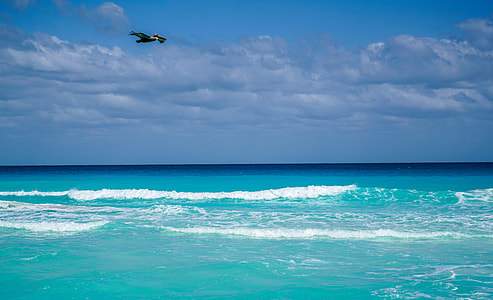 landscape photography of ocean thumbnail