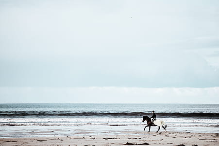 man riding horse at shore thumbnail