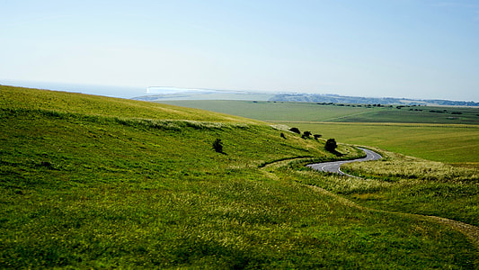 green grass field under blue sky thumbnail