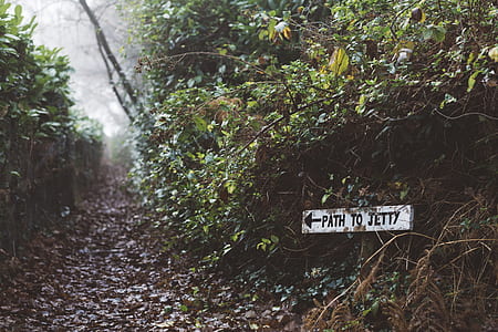 road with path to jetty signage thumbnail
