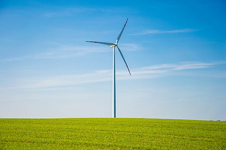 white windmill in green grass field thumbnail