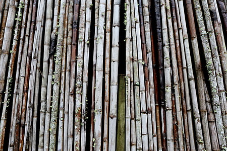 closeup photo of brown sticks thumbnail