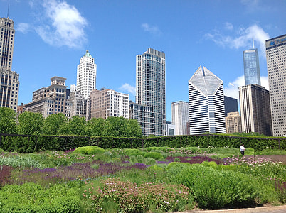 high-rise buildings under blue sky and white clouds thumbnail