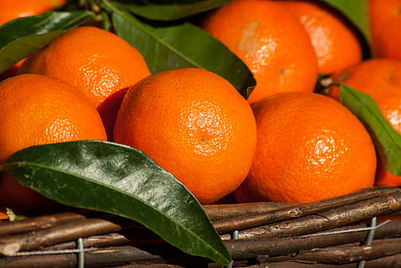round orange fruits thumbnail