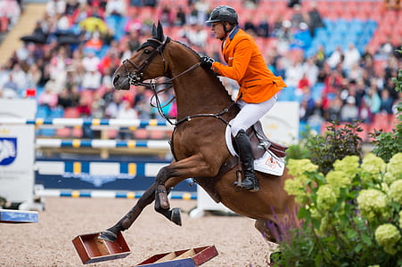 shallow focus photography of man riding horse during daytime thumbnail