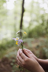 person holding yellow and purple flower thumbnail