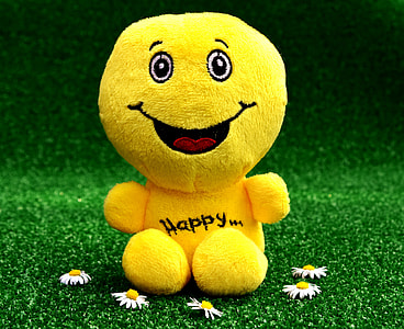 yellow character plush toy on green grass thumbnail