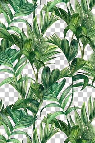 Leaf Green Electric Arches , Palm leaf, green leafed plant illustration PNG clipart
