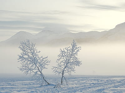field covered with snow thumbnail