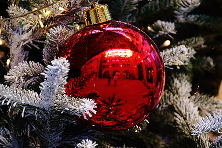 red Christmas bauble on tree thumbnail