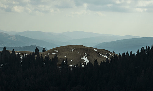 aerial view of green mountain and trees thumbnail