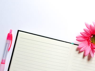 notebook, pen, lines, flower thumbnail