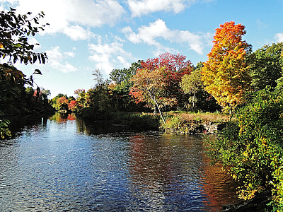 body of water surrounding trees under blue sky thumbnail