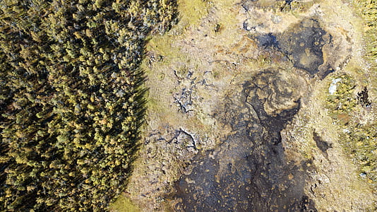 bird's-eye view of forest near cliff thumbnail