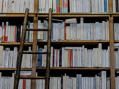 books, bookshop, school, ladder thumbnail