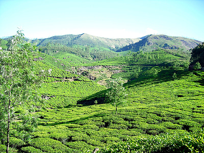 landscape photography of green mountain ranges thumbnail