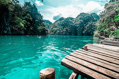 brown wooden bridge near body of water thumbnail